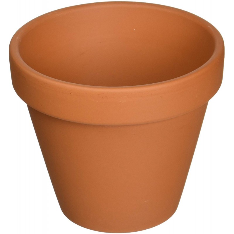 Clay Pot