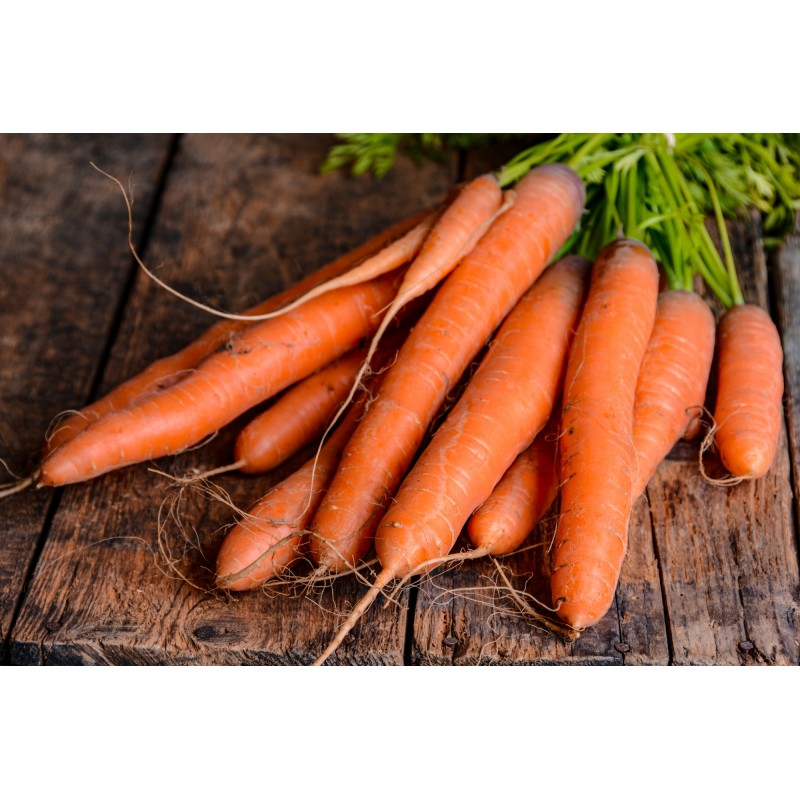 Carrots