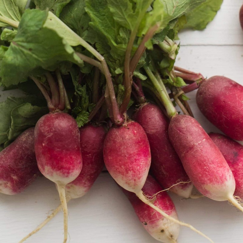 Radish