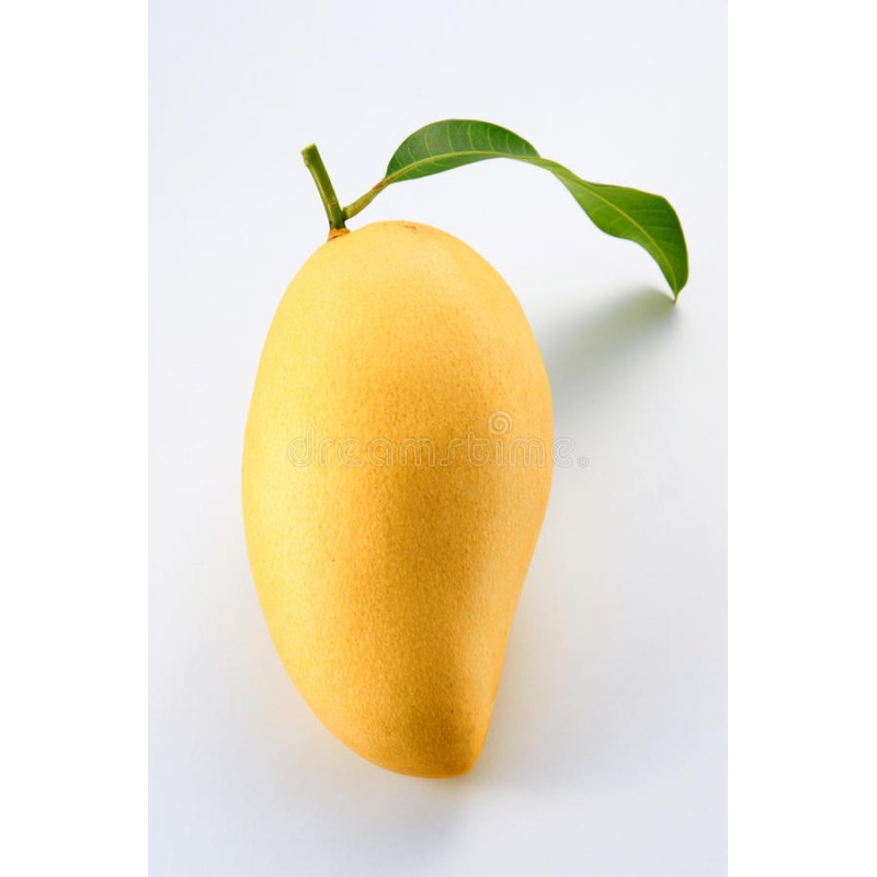 Mangos (Per Container)